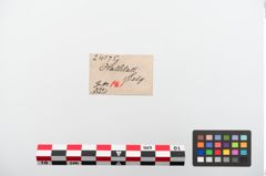 Etiketten zu Bronzekahnfibel (NHMW-PRAE-024175)